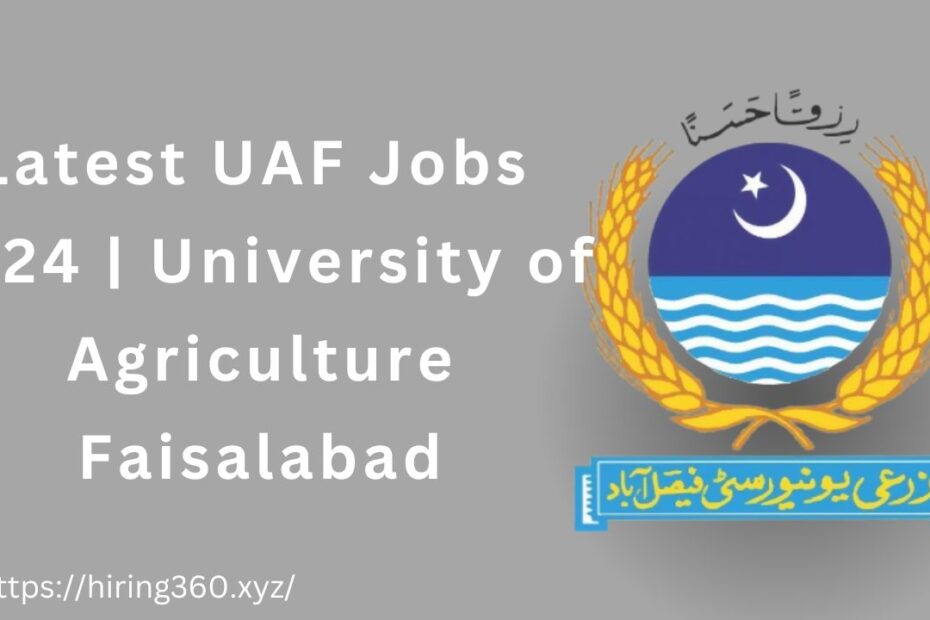 Latest UAF Jobs 2024 | University of Agriculture Faisalabad